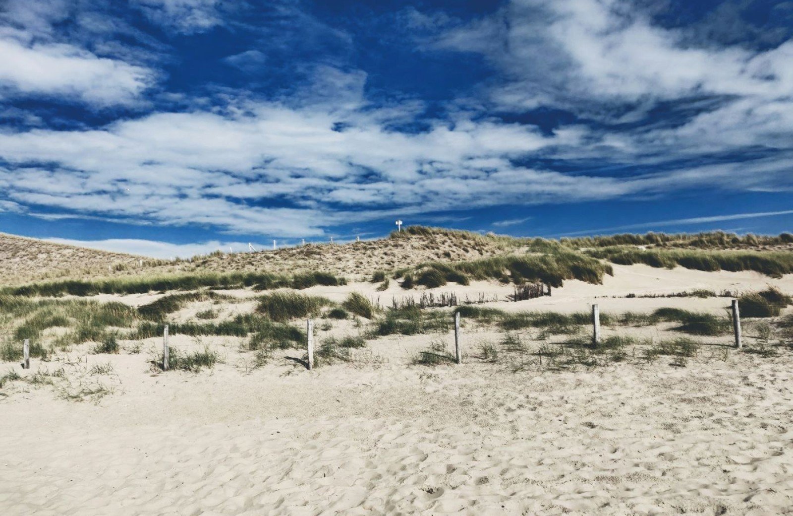 Camping Sint Maartenszee Strand