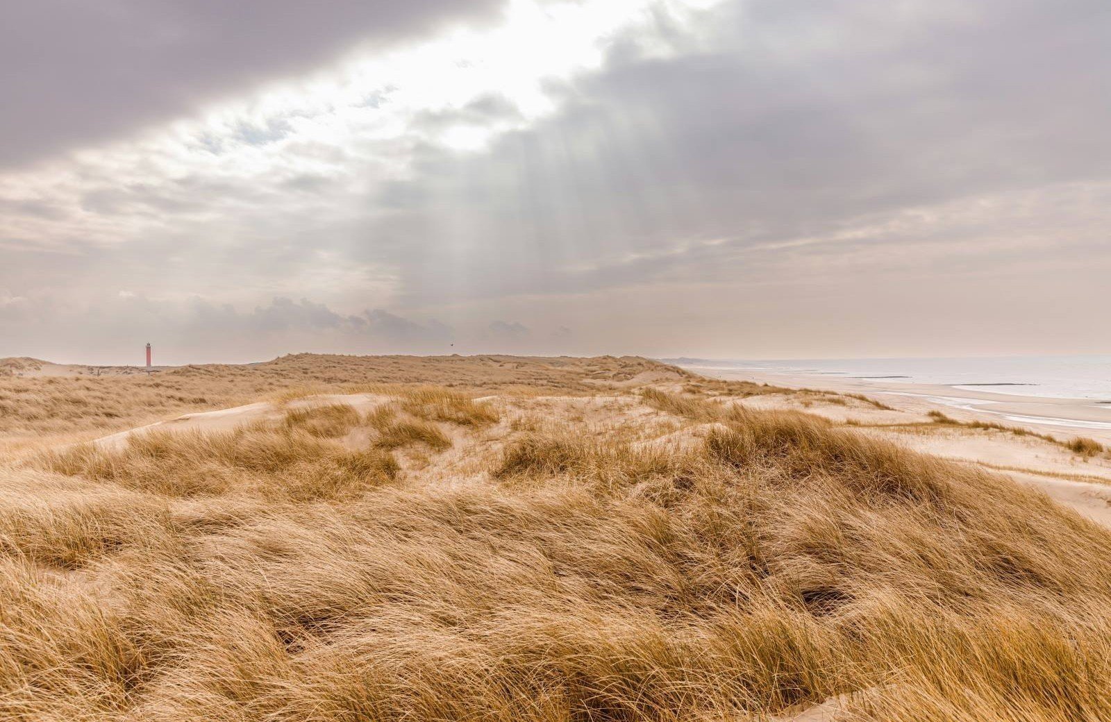 Pinkstervakantie in de duinen Noord-Holland