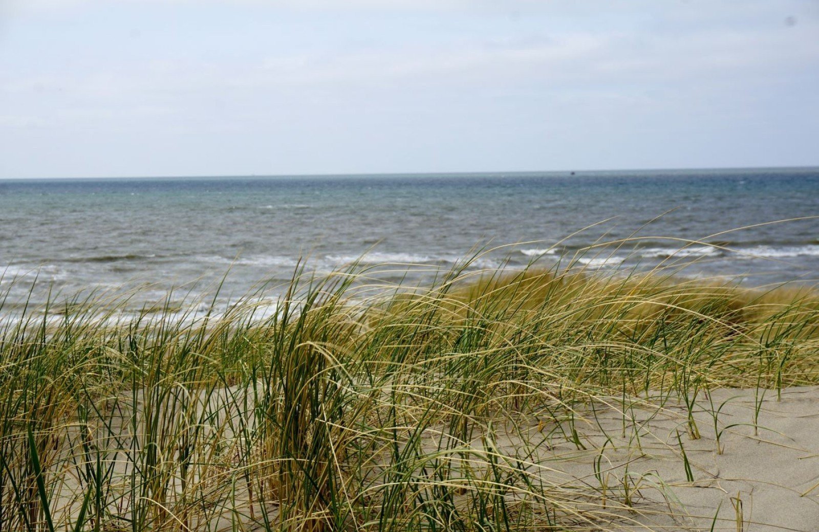 Ferienwohnung Callantsoog Strand