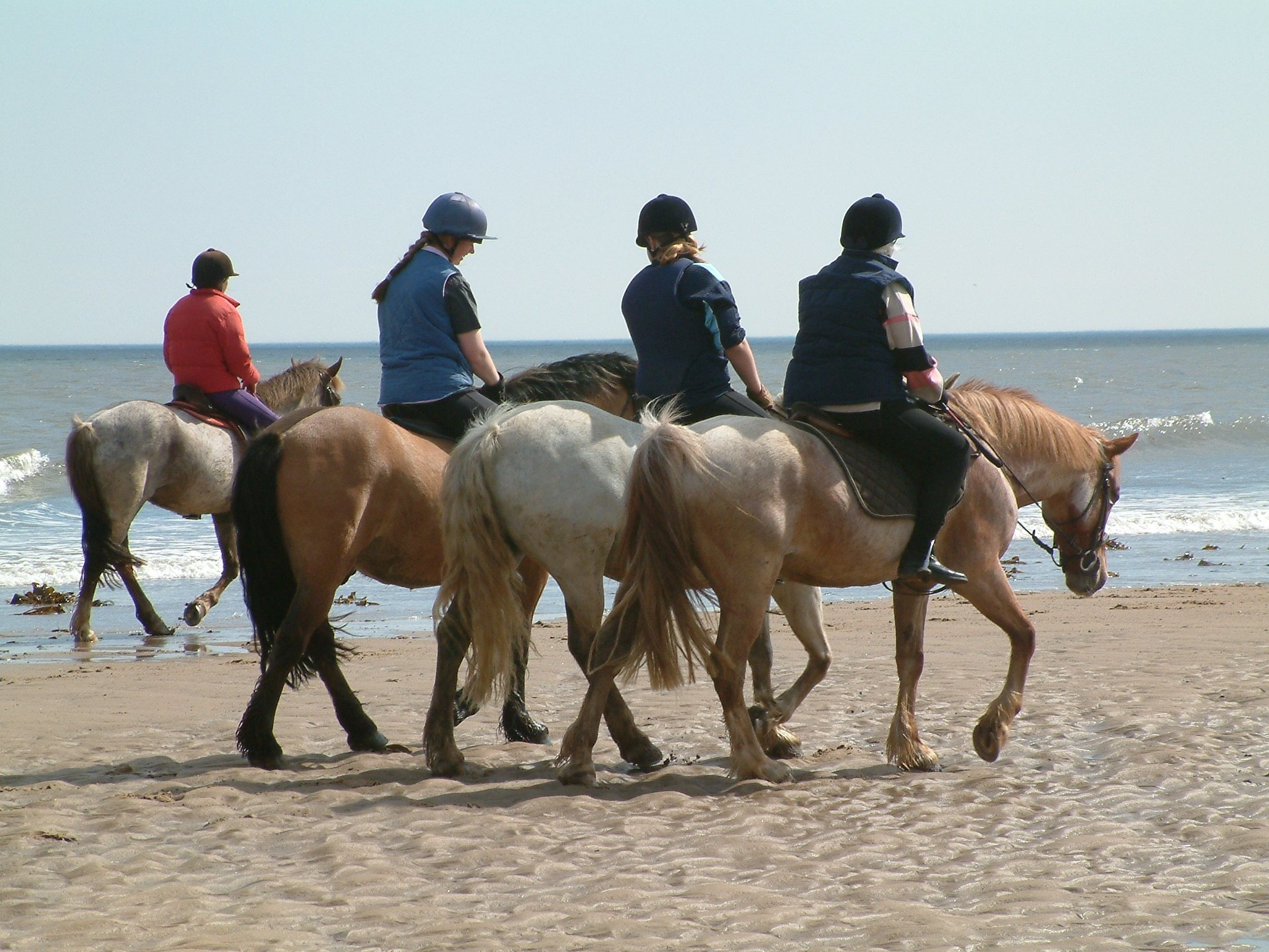 Paardrijden op het strand in Noord Holland