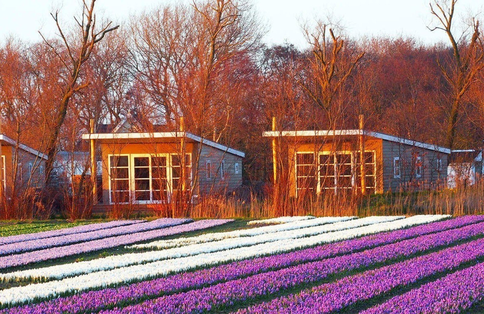 Vakantiehuisje zomer in Noord Holland