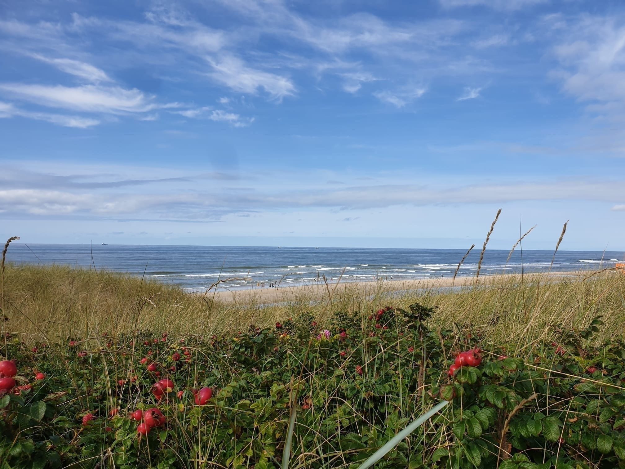 Zomervakantie aan de kust in Noord Holland